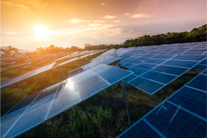 solar farm